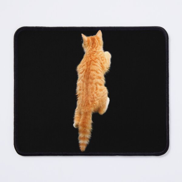 Item preview, Climbing Ginger Cat. Funny, cute cat. Photo, photograph designed and sold by JellyBeenzz.
