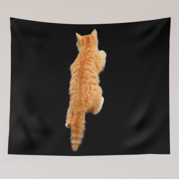 Item preview, Climbing Ginger Cat. Funny, cute cat. Photo, photograph designed and sold by JellyBeenzz.