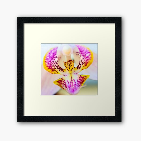 ORCHID Framed Art Print