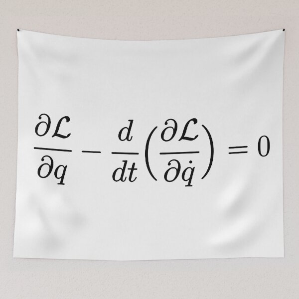 Item preview, euler lagrange equation, physics and science basics designed and sold by NoetherSym.