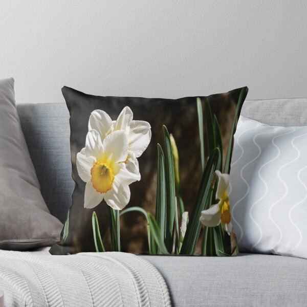 Item preview, Daffodil or Narciso? designed and sold by RGKphotos.