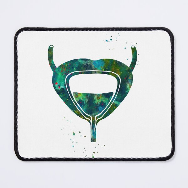 Item preview, Bladder Urinary System Anatomy designed and sold by EvasDreams.