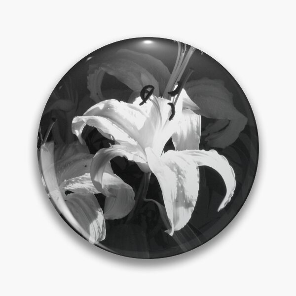 Item preview, Lillies in sunlight (landscape) designed and sold by RKLazenby.