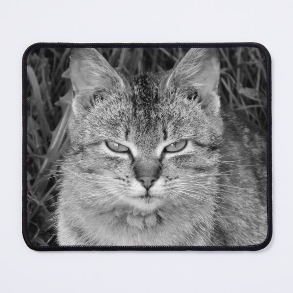 Item preview, Angry Cat designed and sold by NavorolArt.