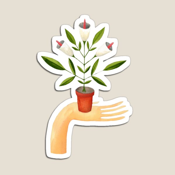 Gift Magnet