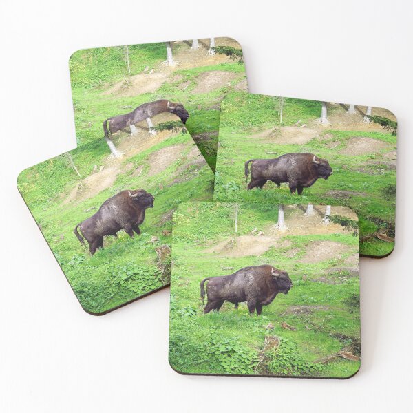 Item preview, European Bison designed and sold by NavorolArt.
