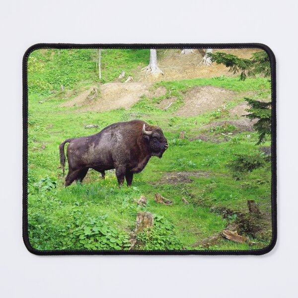 Item preview, European Bison designed and sold by NavorolArt.