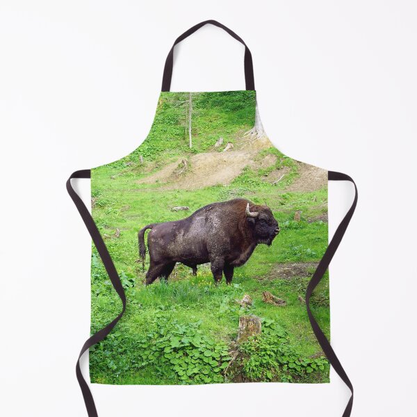 Item preview, European Bison designed and sold by NavorolArt.