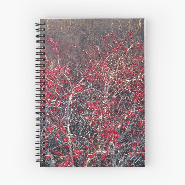 Item preview, Winterberry designed and sold by RVogler.