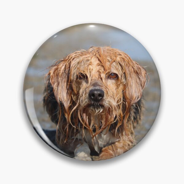 Item preview, Muddy dog designed and sold by GreyFeatherPhot.