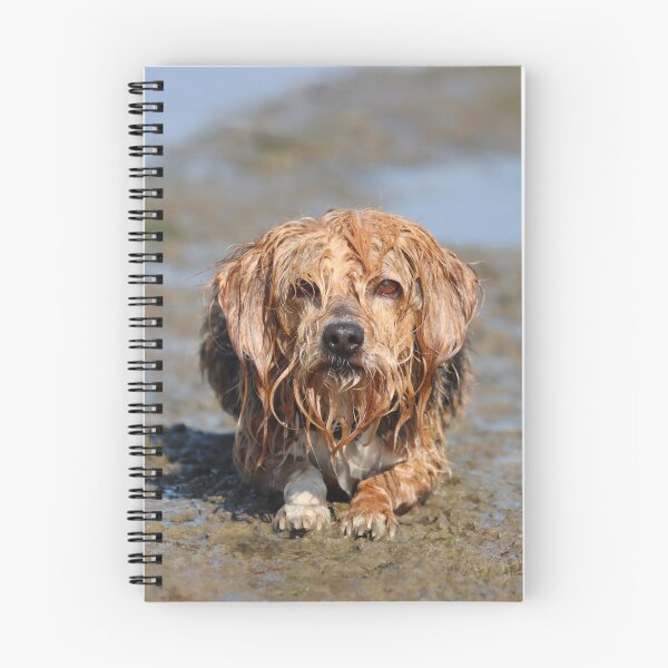 Item preview, Muddy dog designed and sold by GreyFeatherPhot.