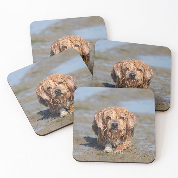 Item preview, Muddy dog designed and sold by GreyFeatherPhot.