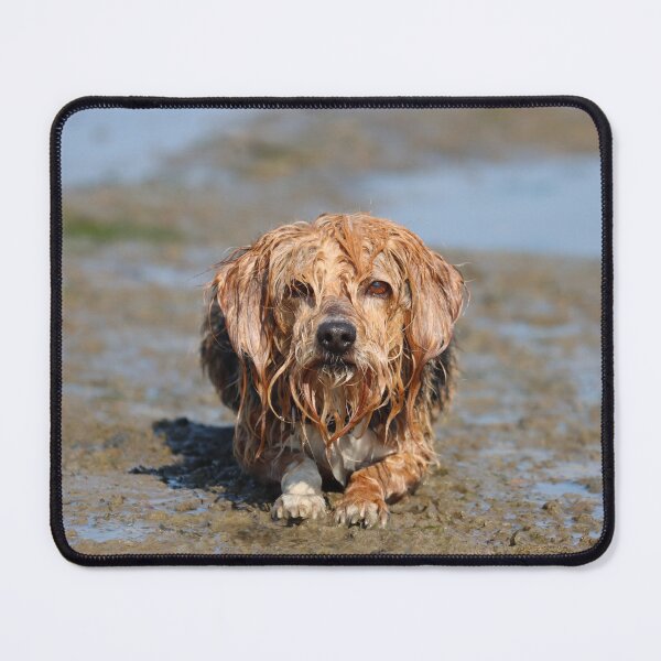 Item preview, Muddy dog designed and sold by GreyFeatherPhot.