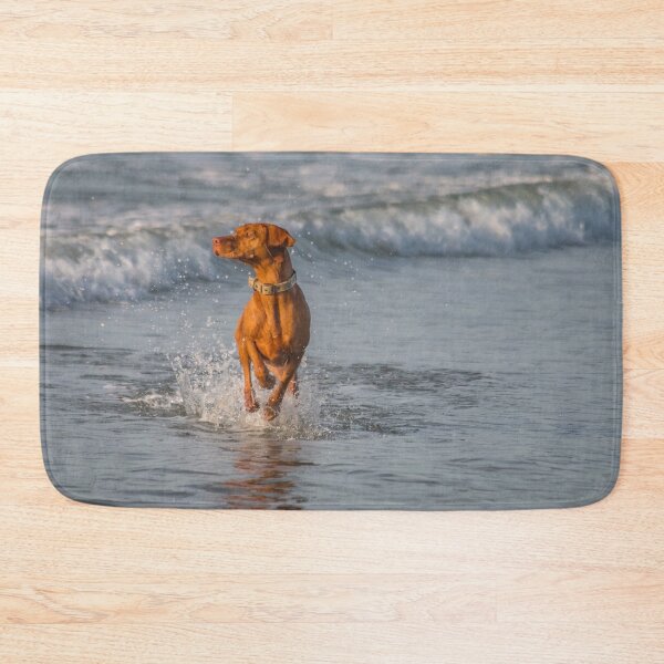 Item preview, all the fun of the seaside-vizsla fun designed and sold by 1andydesign.