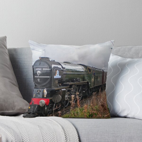 Item preview, Steam Train passing designed and sold by Ian Lane.