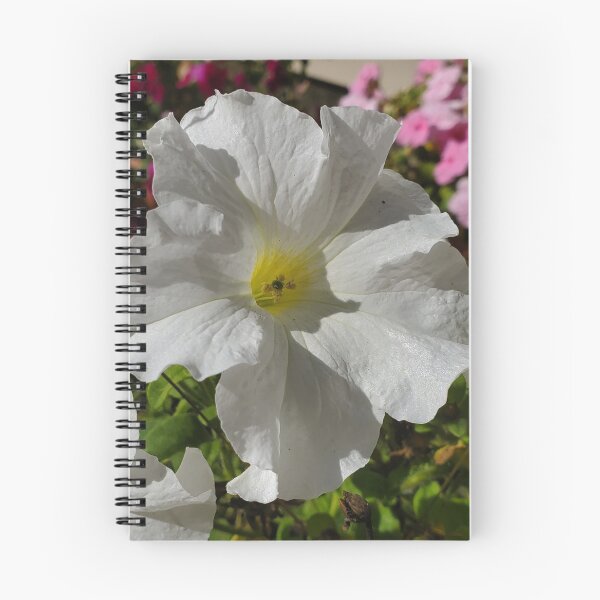 Item preview, White petunia designed and sold by Pravarthika.