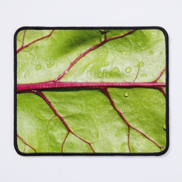Item preview, Beetroot Leaf Background designed and sold by NavorolArt.