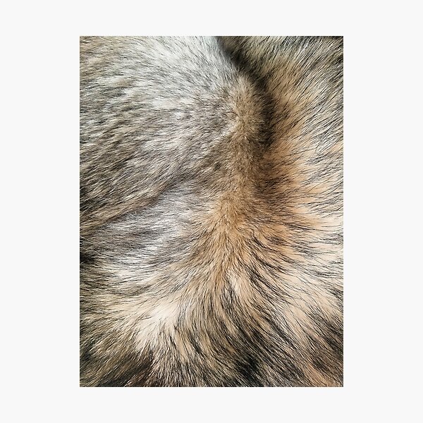 Item preview, Faux fur texture designed and sold by IONcreatION.