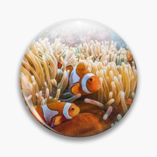 Item preview, CLOWN FISH designed and sold by CricciethPrint.