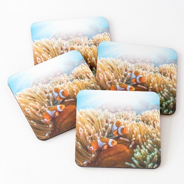 Item preview, CLOWN FISH designed and sold by CricciethPrint.