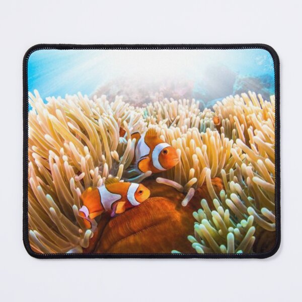 Item preview, CLOWN FISH designed and sold by CricciethPrint.
