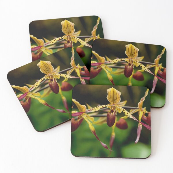 Item preview, Paphiopedilum Orchid designed and sold by Michael Cummings.