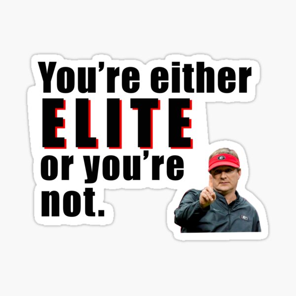 You're either elite or you're not Sticker