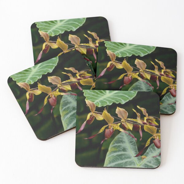 Item preview, Paphiopedilum Orchid  designed and sold by Michael Cummings.