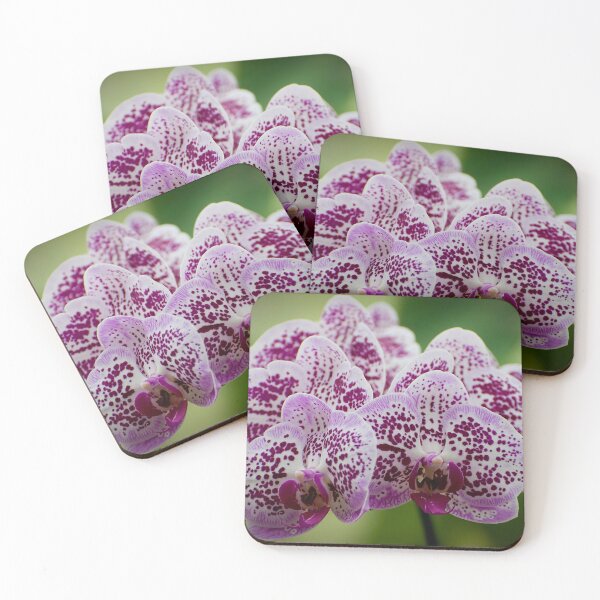 Item preview, Purple Moth Orchid designed and sold by Michael Cummings.