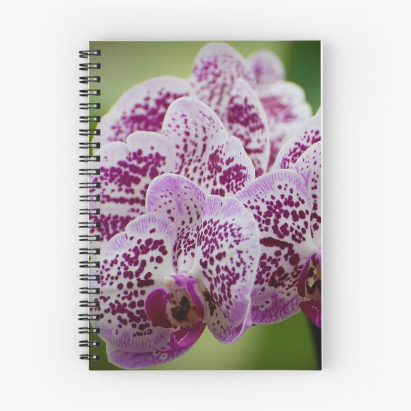 Item preview, Purple Moth Orchid designed and sold by Michael Cummings.