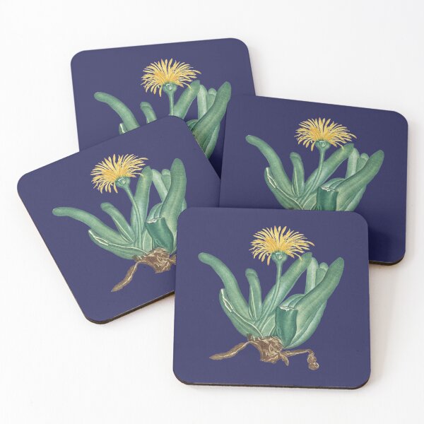 Item preview, Magical Cactus Plant designed and sold by JoyforU.
