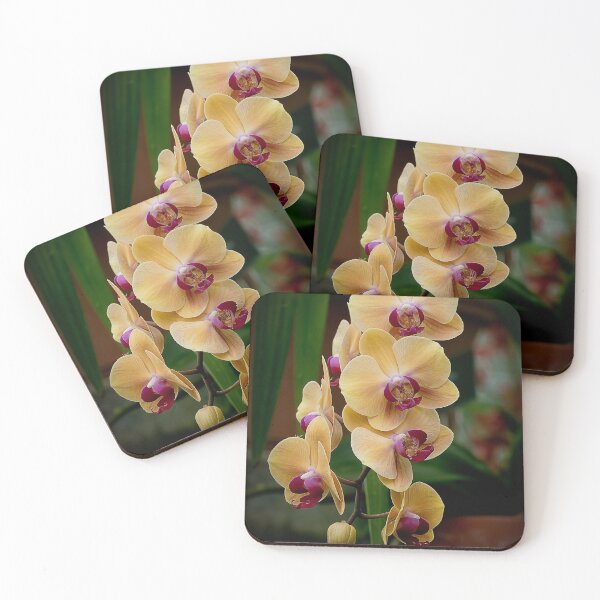 Item preview, Peach Moth Orchid designed and sold by Michael Cummings.