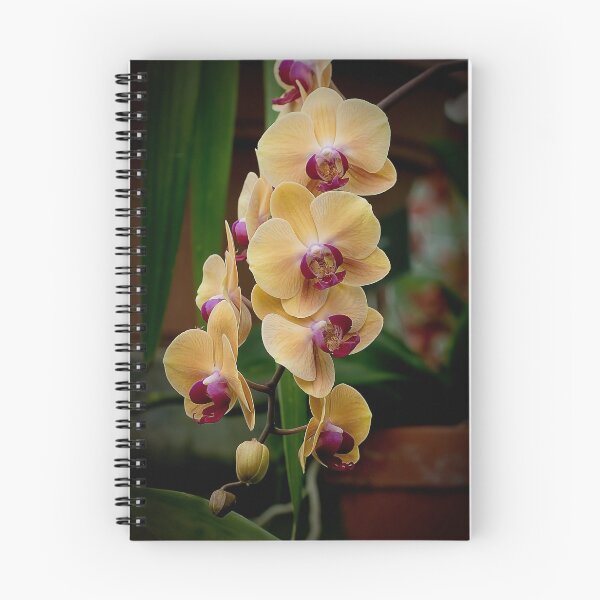 Item preview, Peach Moth Orchid designed and sold by Michael Cummings.