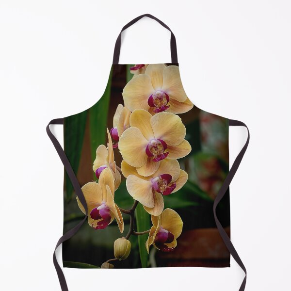 Item preview, Peach Moth Orchid designed and sold by Michael Cummings.