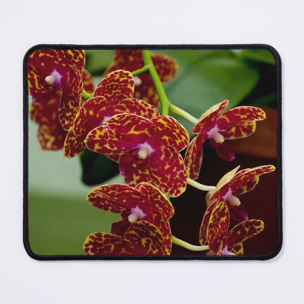 Item preview, Red Moth Orchid designed and sold by Michael Cummings.
