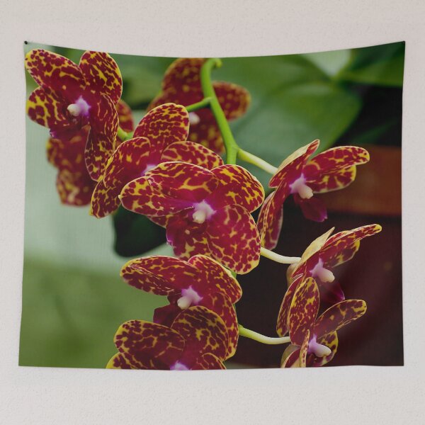 Item preview, Red Moth Orchid designed and sold by Michael Cummings.