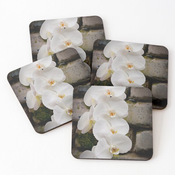 Item preview, White Moth Orchid designed and sold by Michael Cummings.