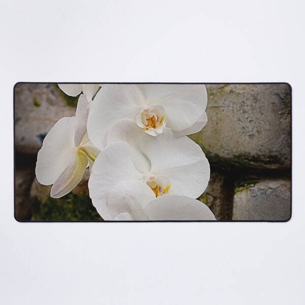 Item preview, White Moth Orchid designed and sold by Michael Cummings.