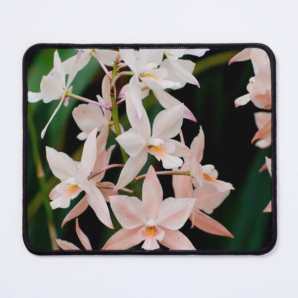 Item preview, Peach Orchid designed and sold by Michael Cummings.