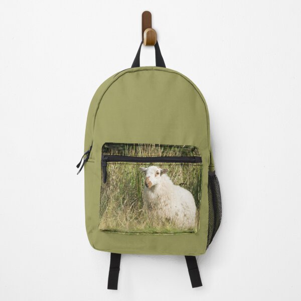 Item preview, Welsh Mountain Sheep III designed and sold by Jane Stanley Photography.