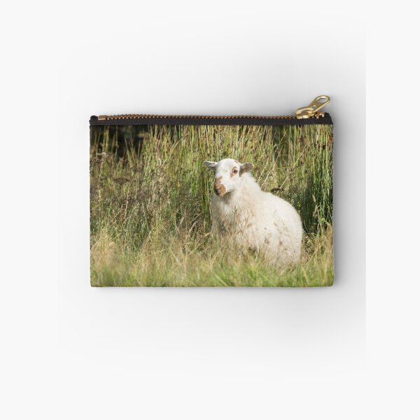 Item preview, Welsh Mountain Sheep III designed and sold by Jane Stanley Photography.