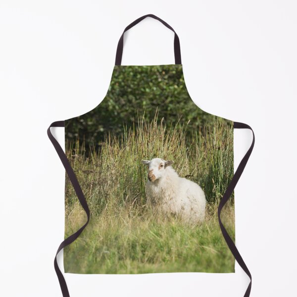 Item preview, Welsh Mountain Sheep III designed and sold by Jane Stanley Photography.
