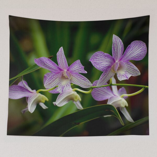 Item preview, Dendrobium Orchid designed and sold by Michael Cummings.