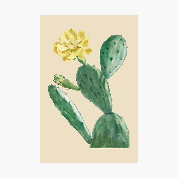 Aperçu de l'œuvre Cactus Bras Ouverts créée et vendue par JoyforU.