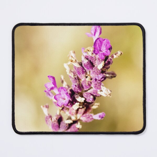 Item preview, Warm Vintage Lavender designed and sold by Tanya C  Smith.