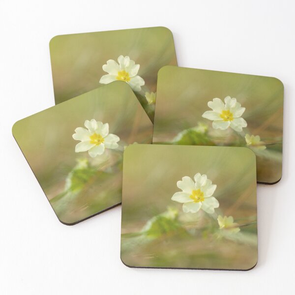 Item preview, Digital photograph of Primrose flower designed and sold by SimonJohnson1.