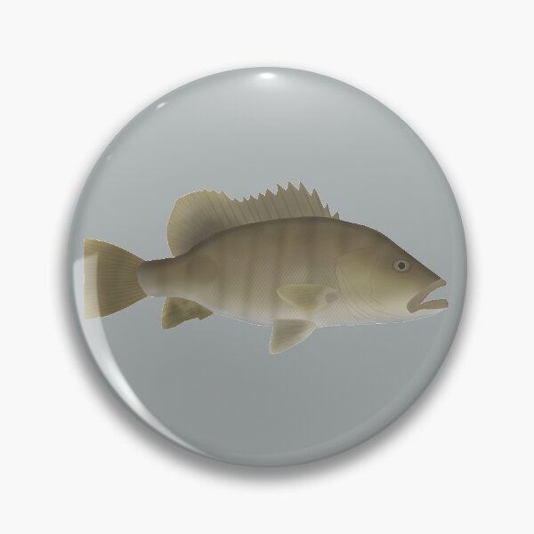 Item preview, Spot Tail Bass designed and sold by fishfolkart.
