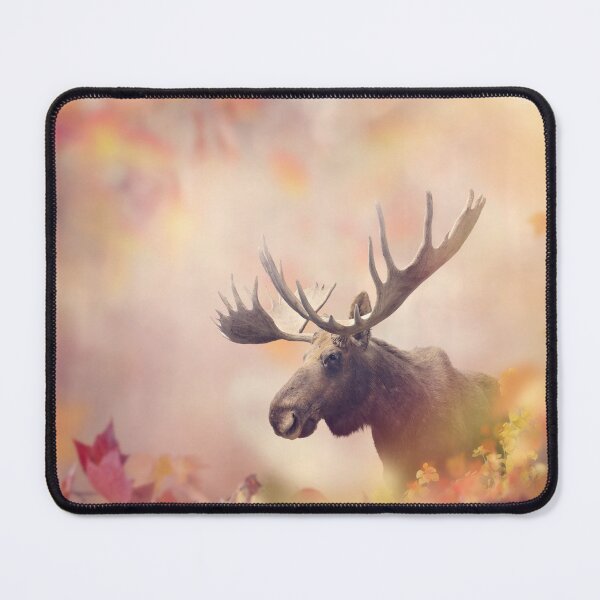 Item preview, Wild Moose in the Colorful Autumn Forest designed and sold by svetlanna.