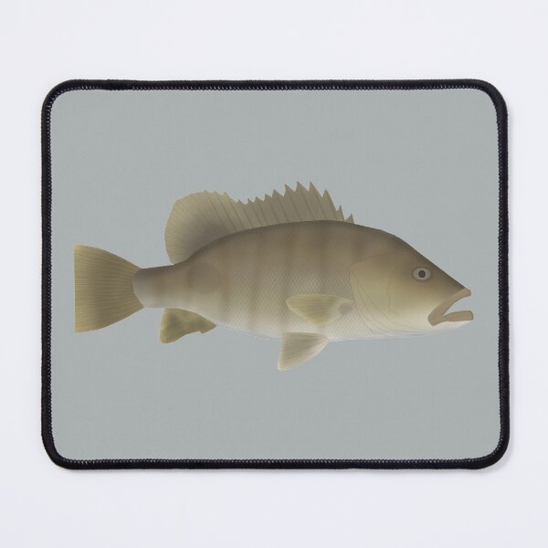 Item preview, Spot Tail Bass designed and sold by fishfolkart.