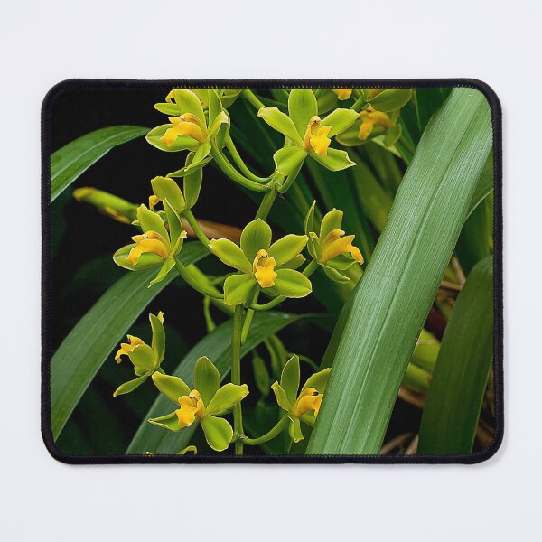 Item preview, Orchid designed and sold by Michael Cummings.